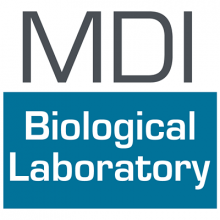 MDI Biological Laboratory